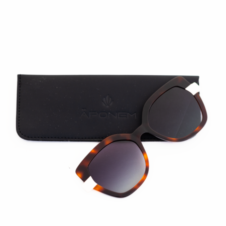 APC029-CLIP-C2