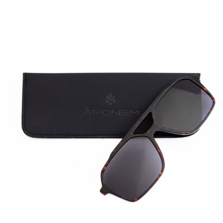 APC034-CLIP-C1