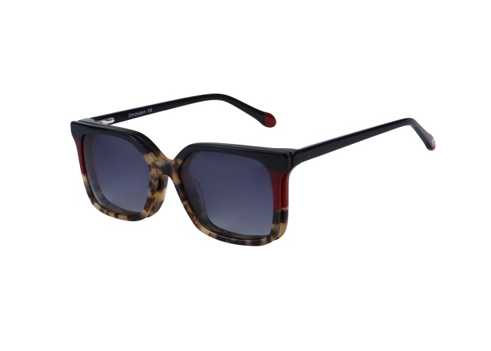 APC043-C3 – Image 5